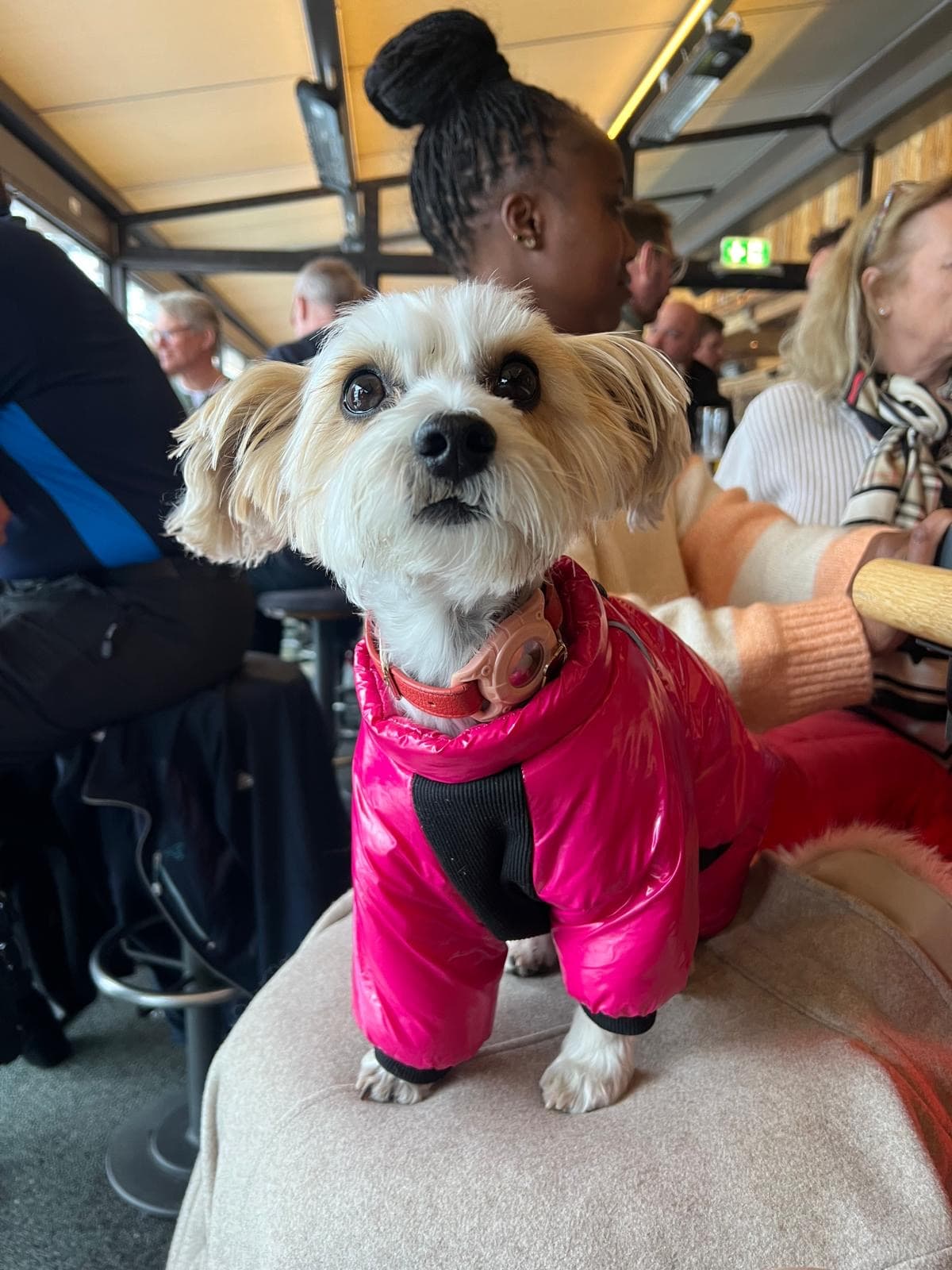 Campingplatz_Berlin_Team_Gucci